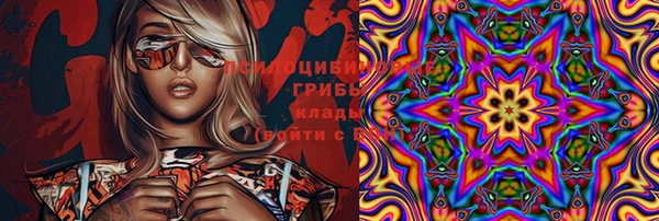 дурь Белокуриха