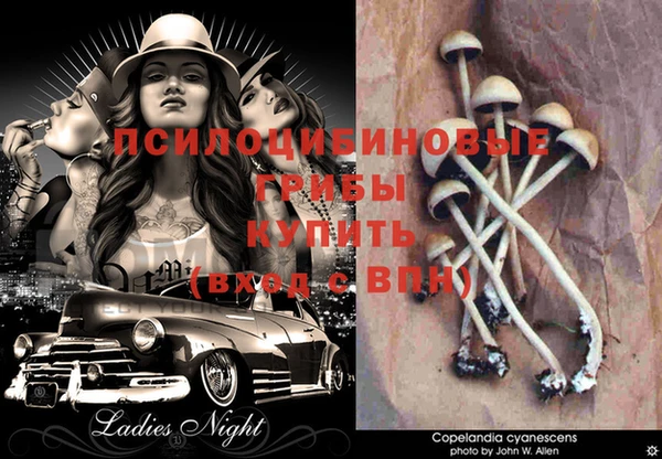 дурь Белокуриха